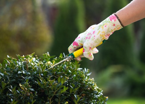 Warm-climate grass selection for lawn care in Woodlands