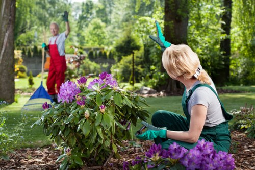 Professional tree lopping and removal work in Woodlands