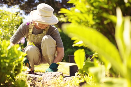 Lawn care as part of garden maintenance in Woodlands