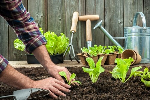 Gardener reviewing a complaint process in a professional service setting