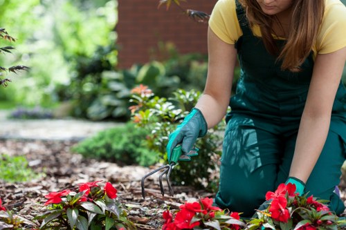 Liability and site safety considerations for gardening work