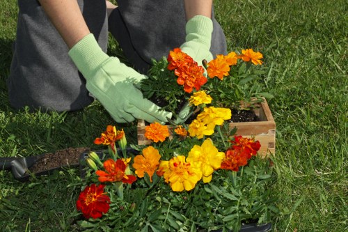 Complaint assessment for a Woodlands gardening service
