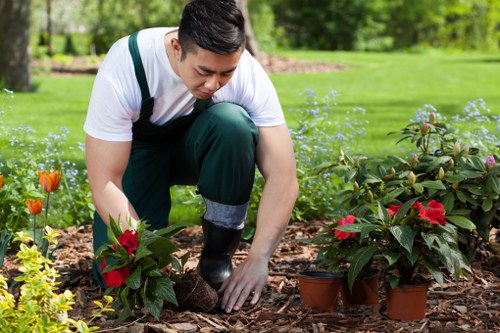 Professional patio cleaning in Woodlands removing algae and dirt