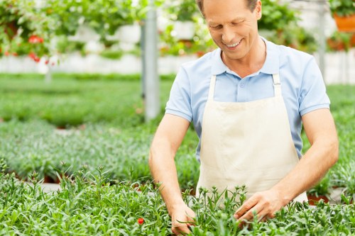 Icon representing accessibility review and improvement in Gardeners Woodlands