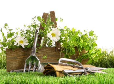 Gardener preparing a fair response to a service complaint