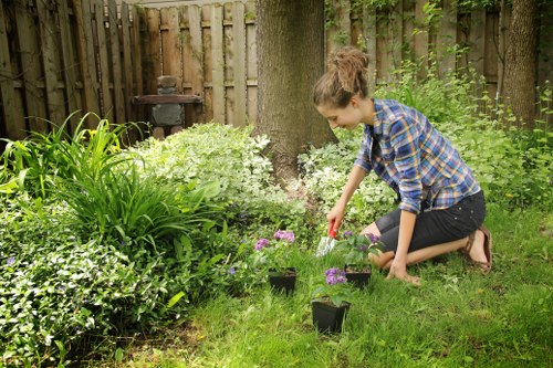 Low-maintenance landscaping features for homes in Woodlands