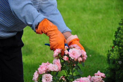 Lush landscape gardening in Woodlands with trees, shrubs, and seasonal color