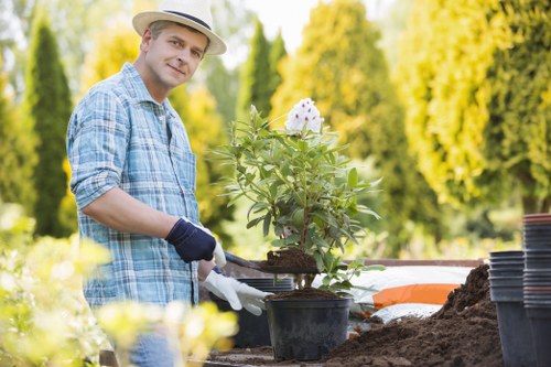 Garden health and safety policy review in progress
