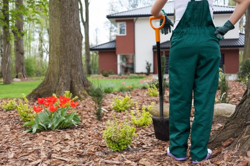 Residential garden cleanup and plant care in Woodlands