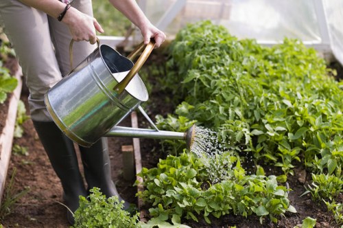 Risk assessment and safety planning for woodland garden work