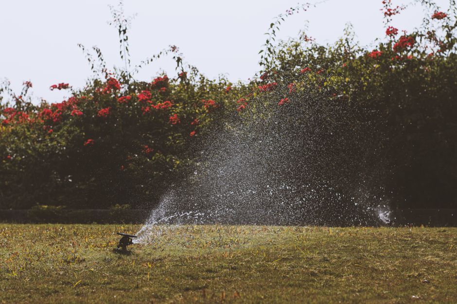 A garden scene during daytime featuring a well-maintained lawn with evenly cut grass and a garden bed bordered by bricks. In the foreground, a small, black irrigation sprinkler sprays water across the