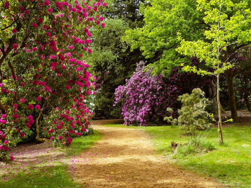 A panoramic view of a lush, well-maintained garden with a neatly trimmed lawn and a variety of green trees and shrubs in the foreground. The garden features a paved pathway winding through the space,