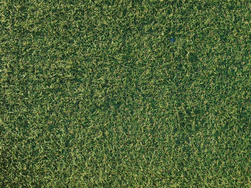 An aerial view of a high traffic lawn showing a patchy area with uneven grass growth and worn patches, indicating the need for turf repair. The surrounding lawn has dense, trimmed grass with a lush gr